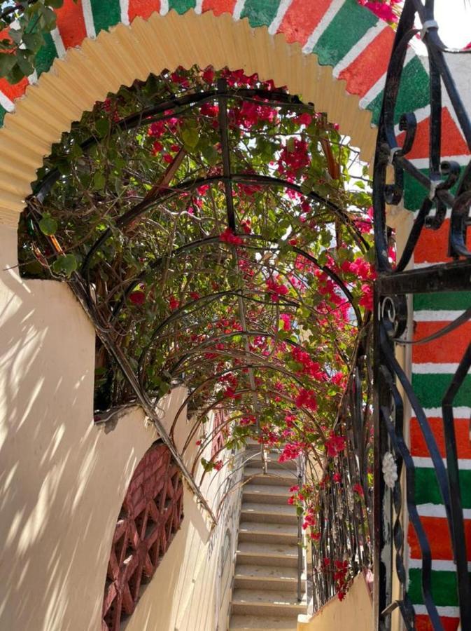 Nubian Dreams Guest House Aswan Exteriör bild
