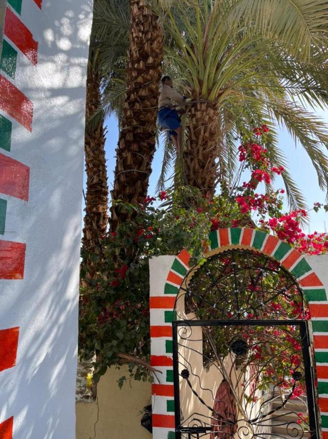 Nubian Dreams Guest House Aswan Exteriör bild